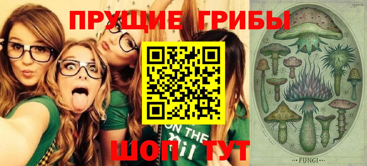Псилоцибиновые грибы Psilocybine cubensis  Галлюциногенные грибы Psilocybine cubensis  Вход с VPN  купить наркотик  Нефтекумск 