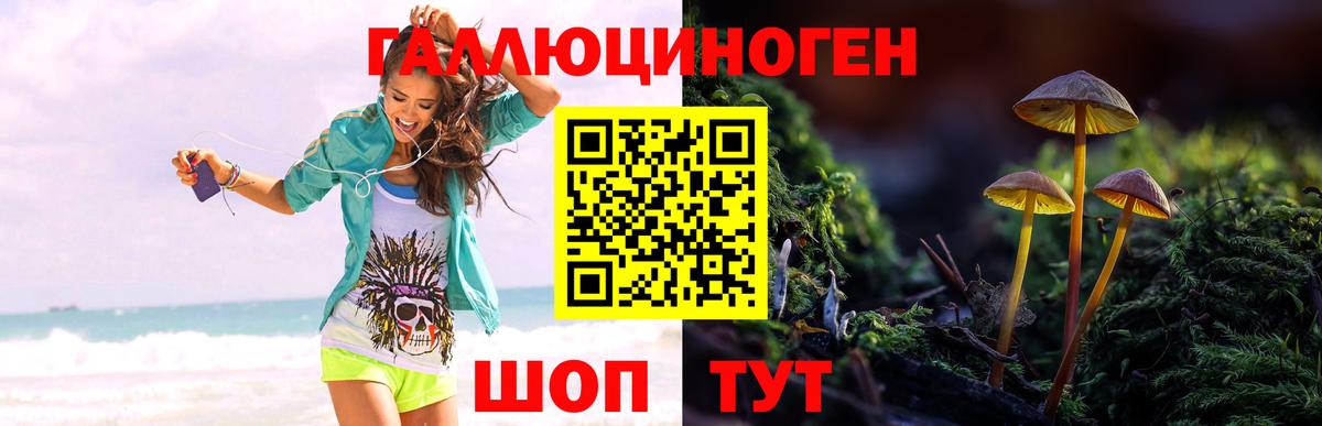 Псилоцибиновые грибы Psilocybine cubensis Нефтекумск